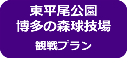 東平尾公園博多の森球技場観戦プラン