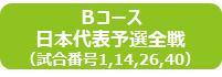 ラグビーワールドカップ2019TM日本大会チケット付ツアー Bコース