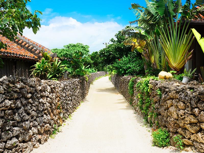 竹富町観光案内人