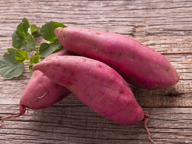 県外への植物持出のルール