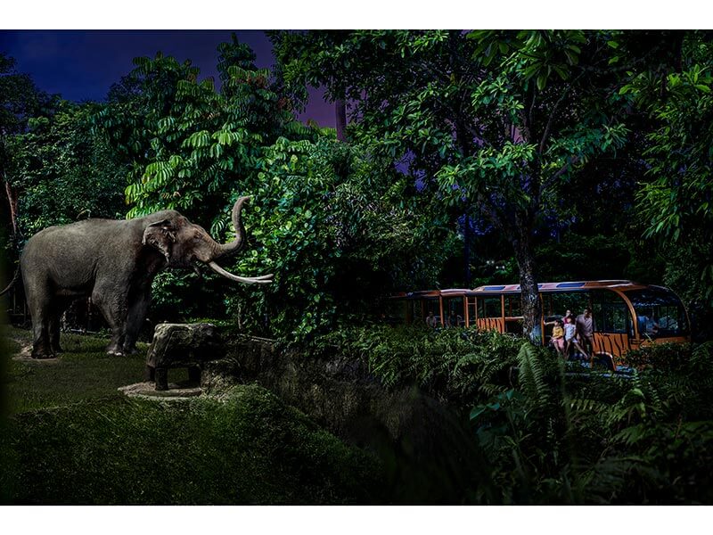 マンダイ・ワイルドライフ・リザーブ