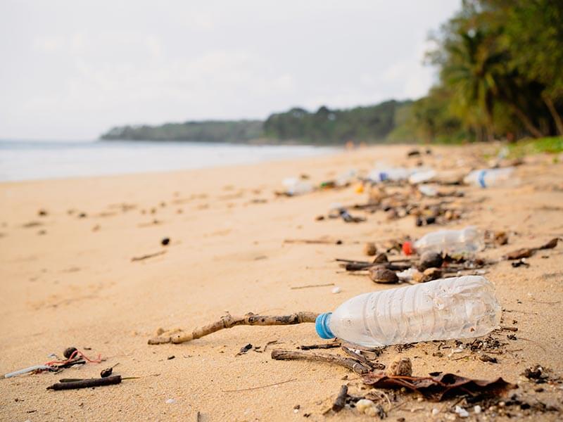 ハワイの自然を守る