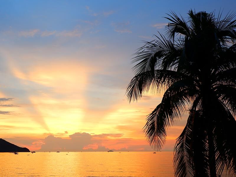 歴史を知り、文化を守る