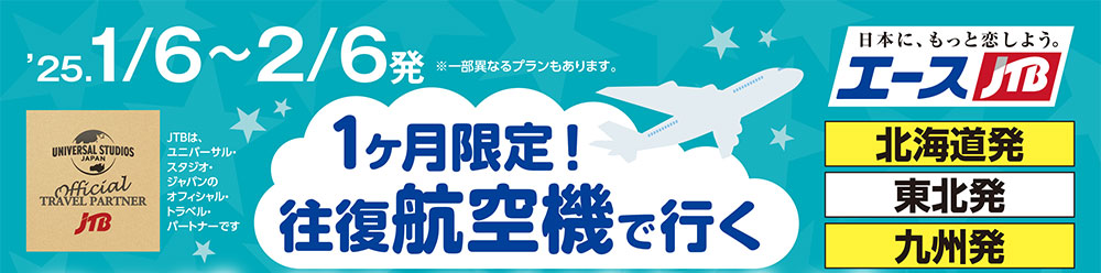 25.1/26～2/6発 1ヶ月限定往復航空機で行く